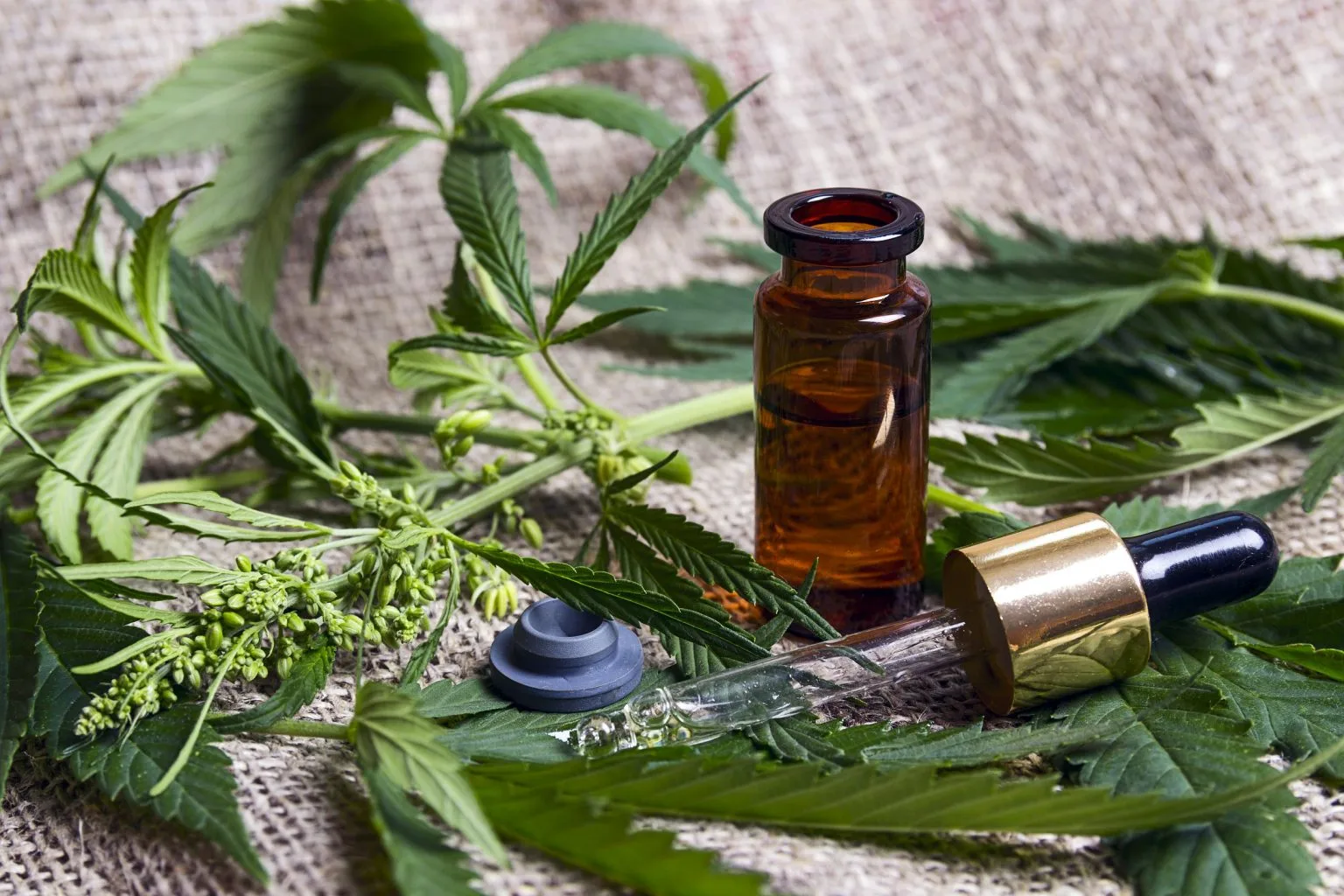 beneficii cbd