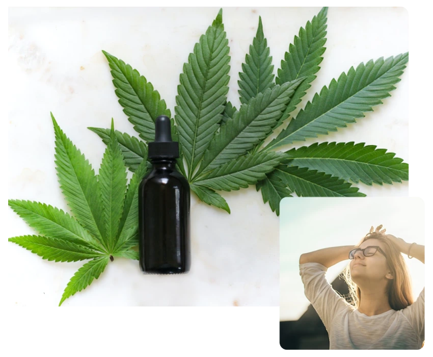 Descoperă puterea binefăcătoare a medicinei naturale